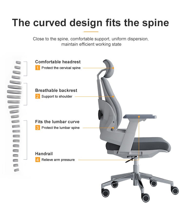 Koorbiir S101 Ergonomic Office Chair - Koorbiir