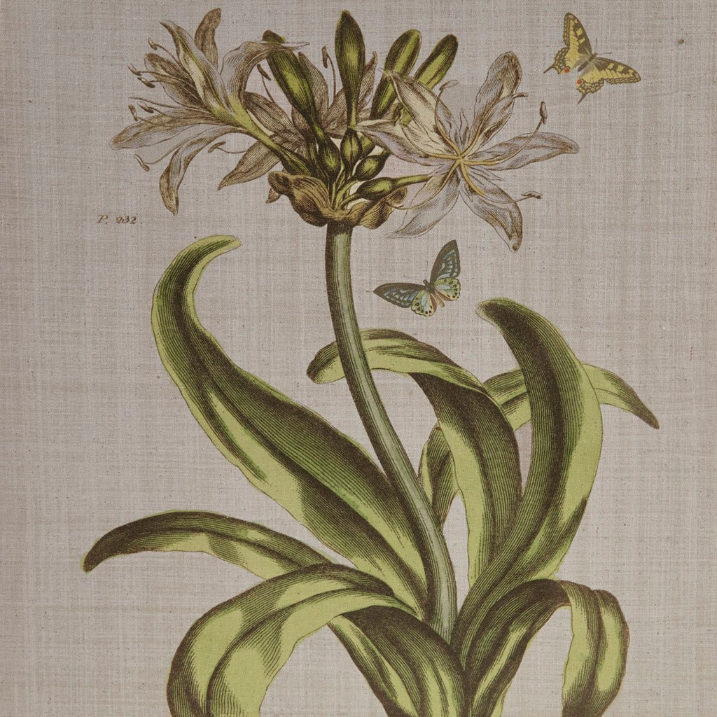 koorbiir w5 4 - Piece Botanical Illustration Canvas Wall Art Set, Framed and Ready to Hang for Home Decor - Koorbiir