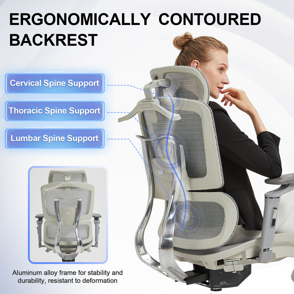 Koorbiir C300 Ergonomic Office Chair